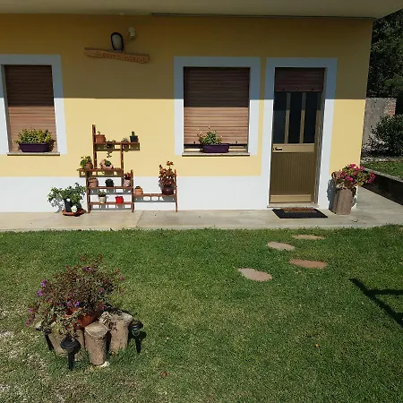 Bed & Breakfast Sunny's House