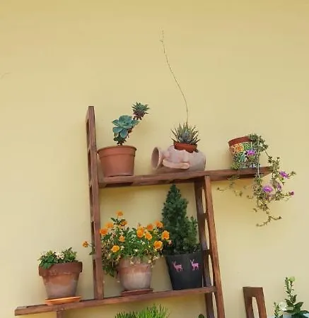 Sunny's House *