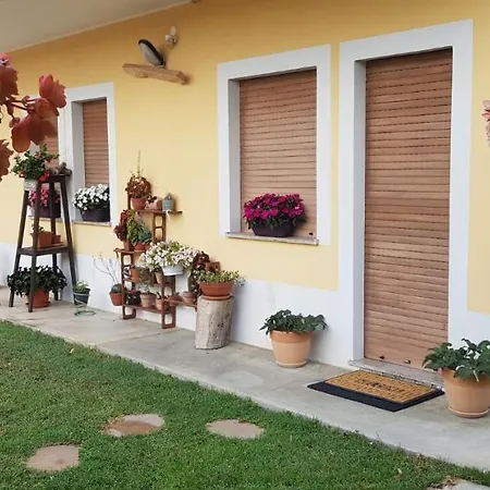 Bed & Breakfast Sunny's House