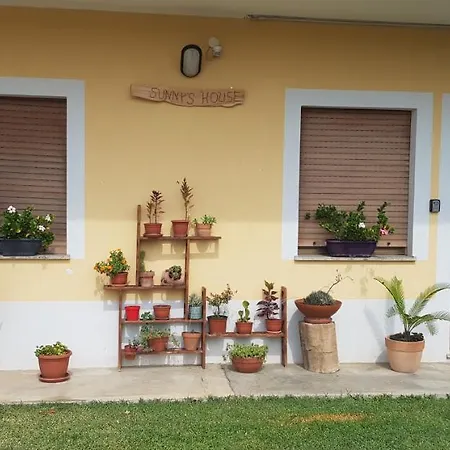Sunny's House Bed & Breakfast