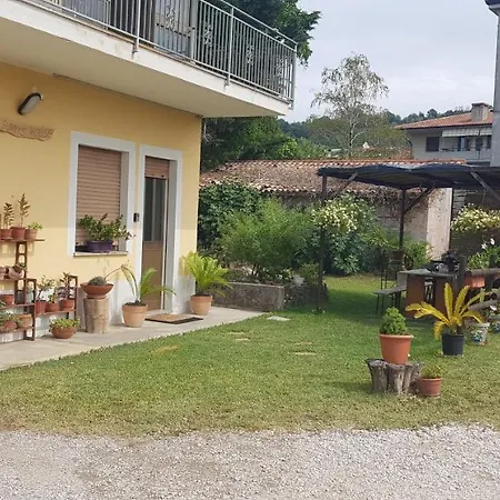 Sunny's House